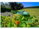 52 Mapleton Falls Road, Mapleton QLD 4560