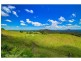 922 Bald Knob Road, Bald Knob, Maleny QLD 4552