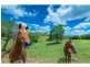Mapleton QLD 4560