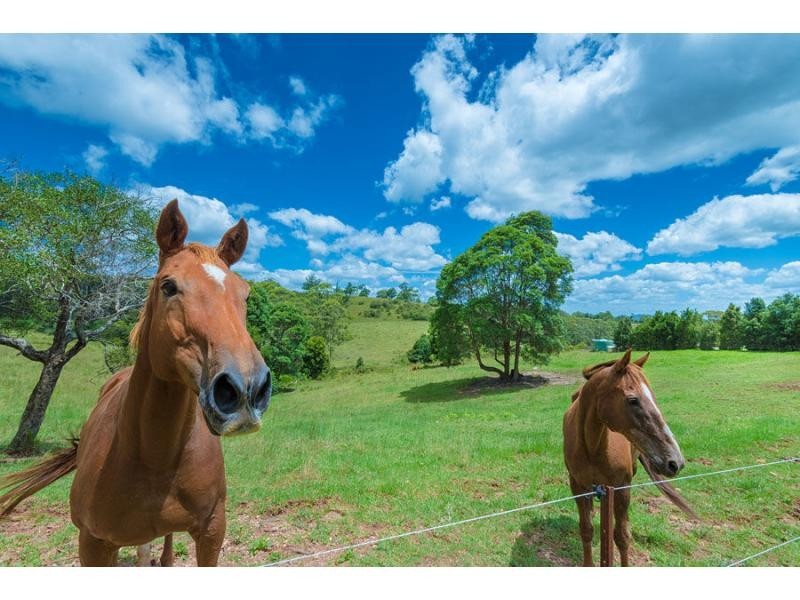 Mapleton QLD 4560