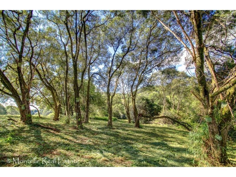 93 Western Avenue, Montville QLD 4560