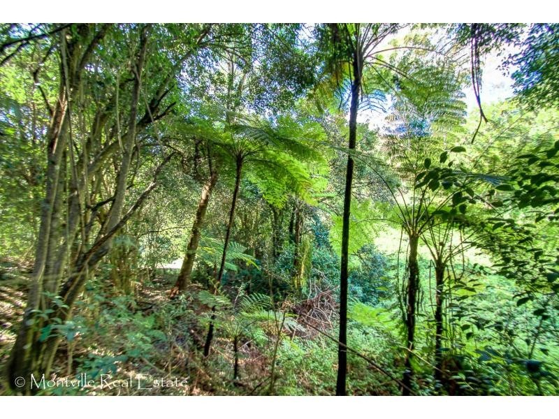 93 Western Avenue, Montville QLD 4560