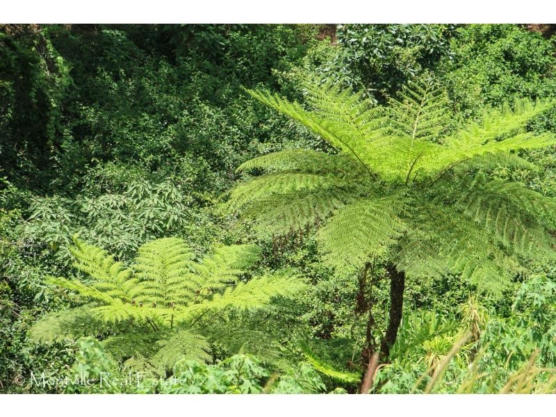 93 Western Avenue, Montville QLD 4560