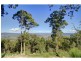 1007 Delicia Road, Mapleton QLD 4560