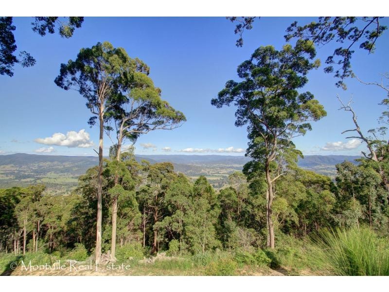 1007 Delicia Road, Mapleton QLD 4560