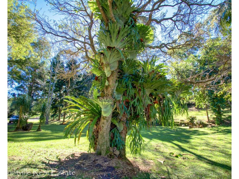 21 Suses Pocket Road, Mapleton QLD 4560