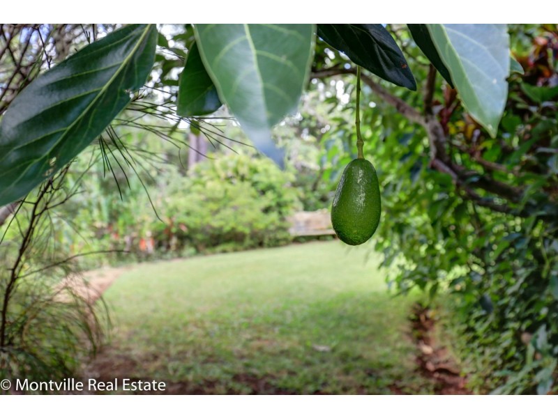 10 Old Mill Lane, Flaxton QLD 4560