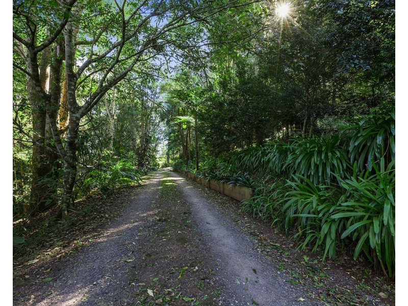 10 Kondalilla Falls Rd, Montville QLD 4560