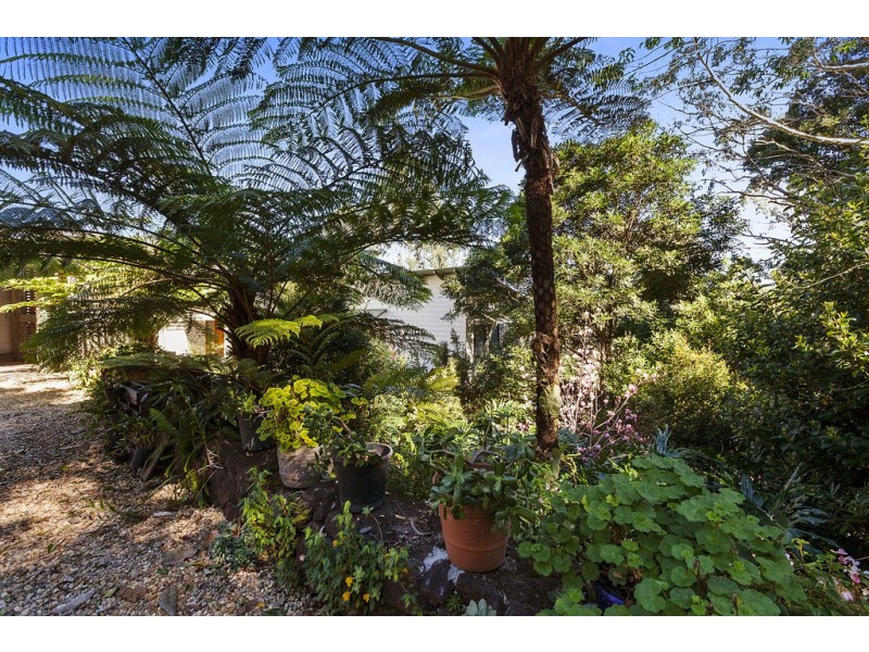 10 Kondalilla Falls Rd, Montville QLD 4560