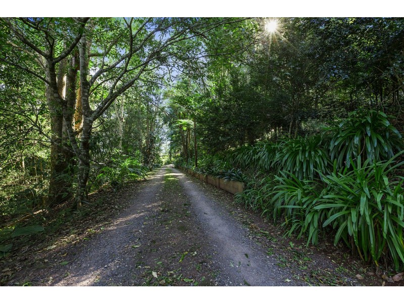 10 Kondalilla Falls Rd, Montville QLD 4560