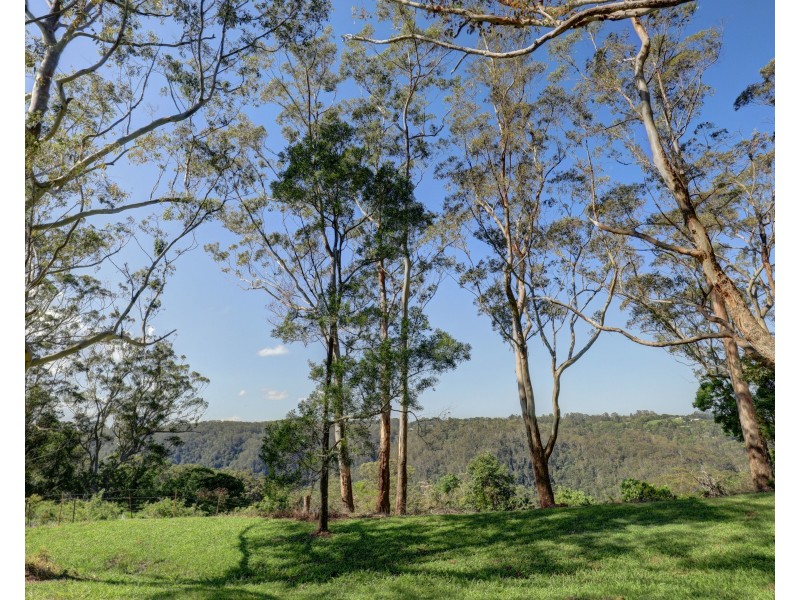 Montville QLD 4560