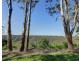 Montville QLD 4560