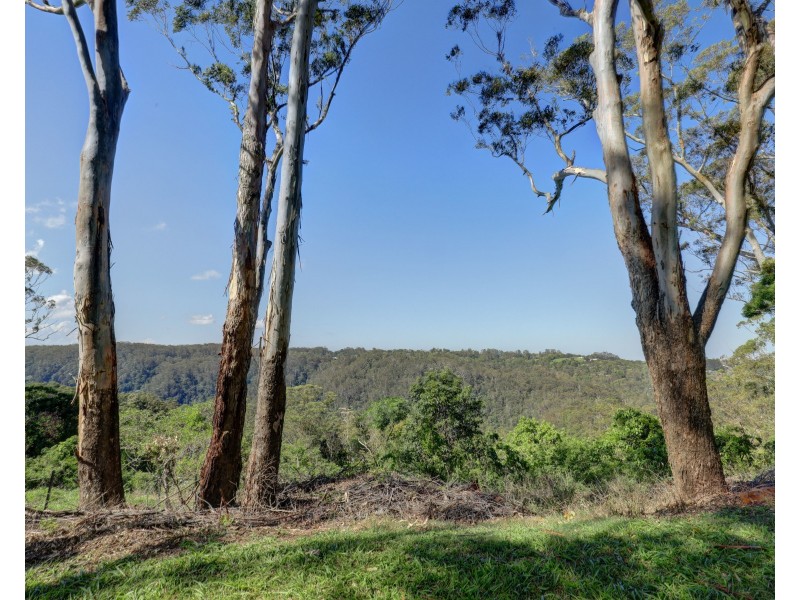 Montville QLD 4560