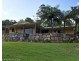 Mapleton QLD 4560