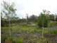 Waterford QLD 4133