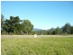 21 Northern Skies Terrace, Riverstone Crossing, Maudsland QLD 4210