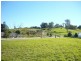 21 Northern Skies Terrace, Riverstone Crossing, Maudsland QLD 4210