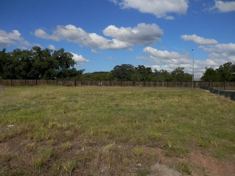 41 Homestead Circuit, Riverstone Crossing, Upper Coomera QLD 4209
