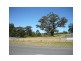 29 Homestead Circuit, Riverstone Crossing, Upper Coomera QLD 4209