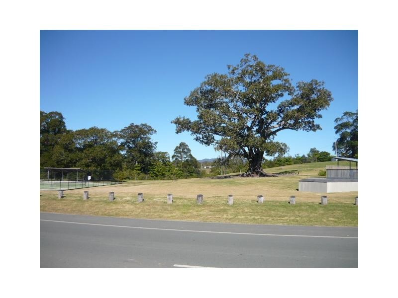 29 Homestead Circuit, Riverstone Crossing, Upper Coomera QLD 4209