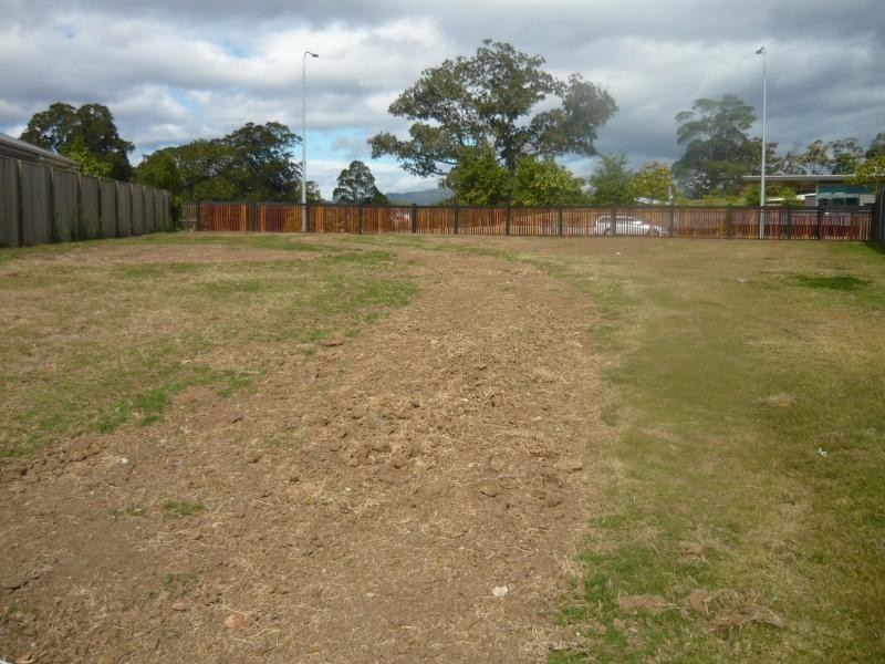 29 Homestead Circuit, Riverstone Crossing, Upper Coomera QLD 4209