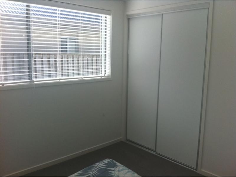 14 Homestead Circuit, Upper Coomera QLD 4209