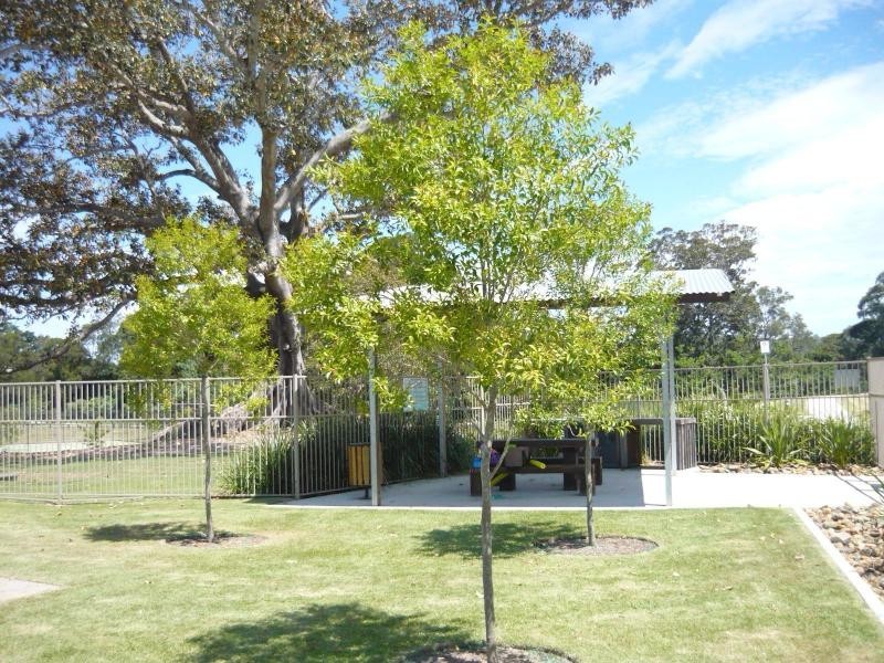 Lot 3 Homestead Circuit, Upper Coomera QLD 4209