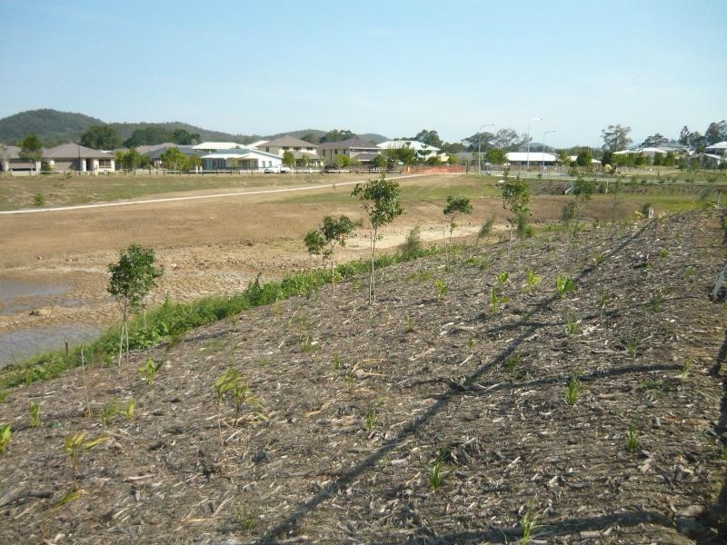 Lot 298 Summerstone Place, Riverstone Crossing, Upper Coomera QLD 4209