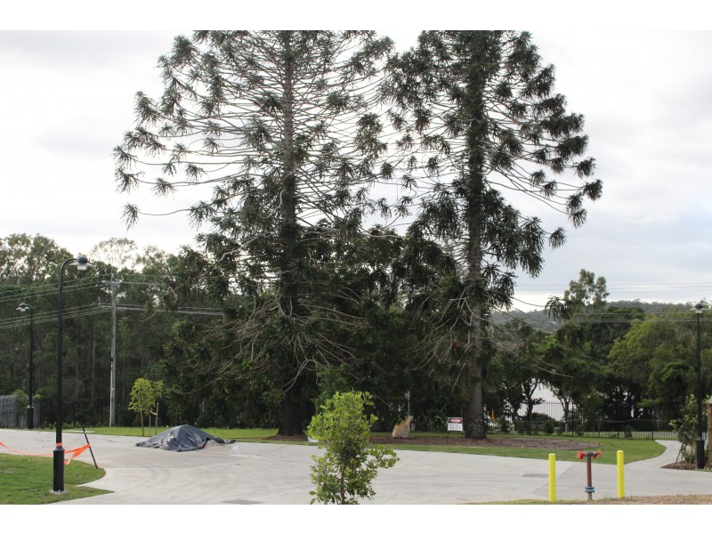 3 Charlies Crossing Rd, Upper Coomera QLD 4209