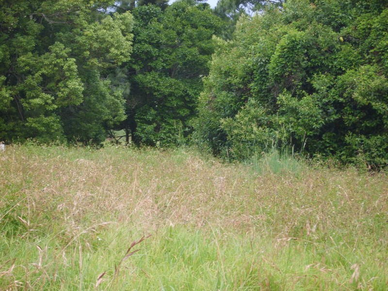 14 Gannon Street, Mount Mee QLD 4521