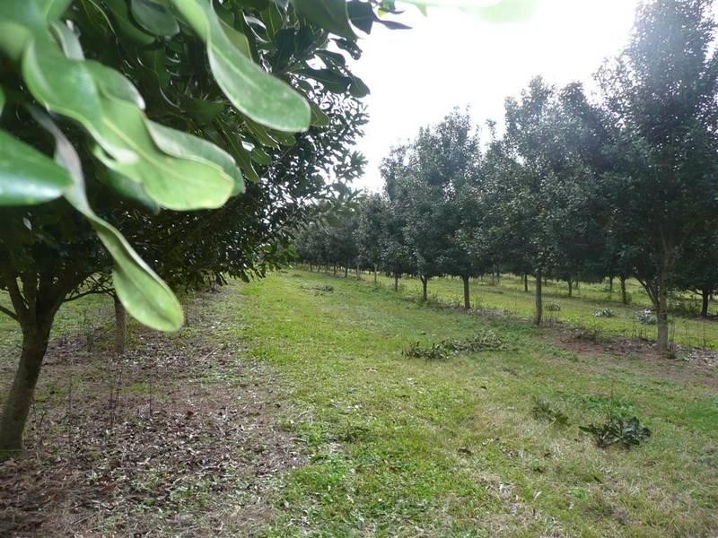 Peachester QLD 4519