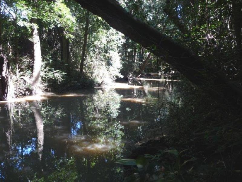 Peachester QLD 4519