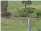 300 WOODROW Road, Woodford QLD 4514