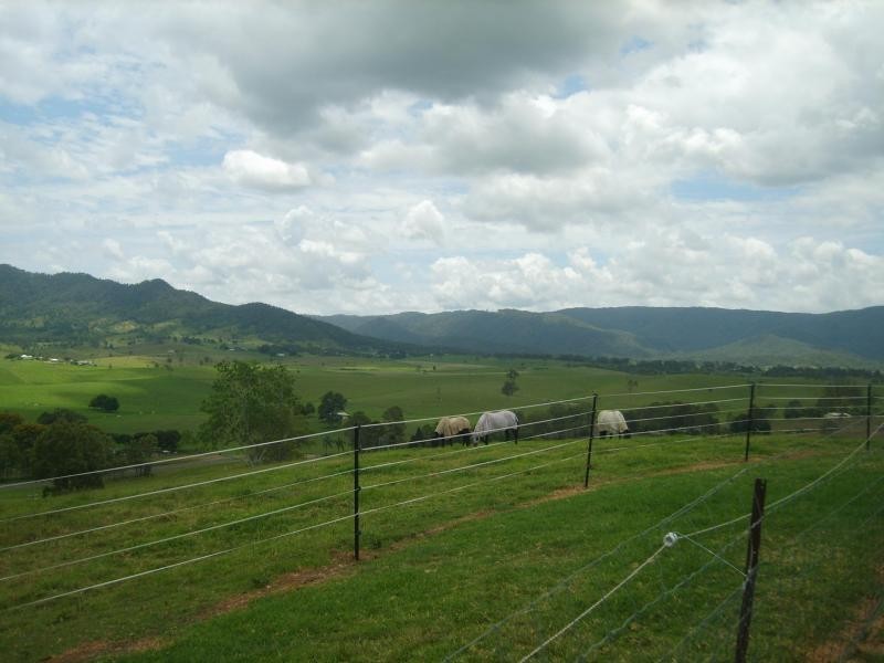 240 JENKINSON Road, Mount Kilcoy QLD 4515