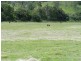 1060 KILCOY MURGON Road, Kilcoy QLD 4515