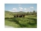 1060 KILCOY MURGON Road, Kilcoy QLD 4515