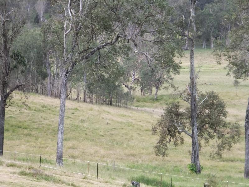 321 STANTON Road, Neurum QLD 4514