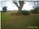 Wamuran QLD 4512