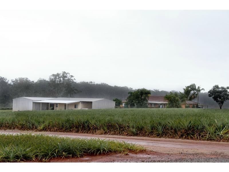 38 MORRISON Road, Glass House Mountains QLD 4518