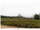38 MORRISON Road, Glass House Mountains QLD 4518