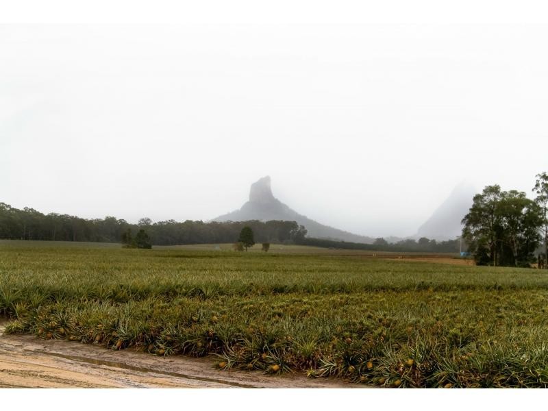 38 MORRISON Road, Glass House Mountains QLD 4518