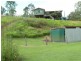 Sandy Creek QLD 4515