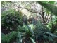 Delaneys Creek QLD 4514