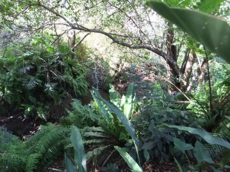Delaneys Creek QLD 4514