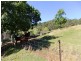 Delaneys Creek QLD 4514