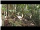Bellthorpe QLD 4514