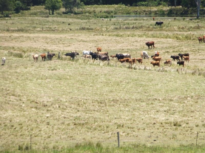 Stony Creek QLD 4514