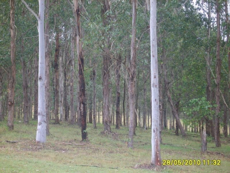Woodford QLD 4514