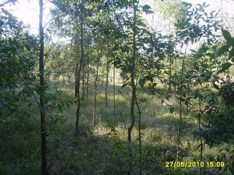 Woodford QLD 4514