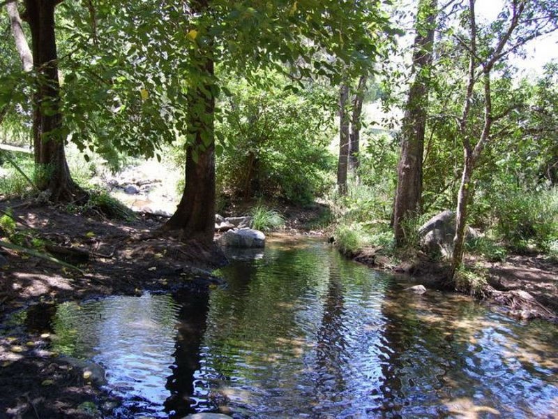 Sandy Creek QLD 4515